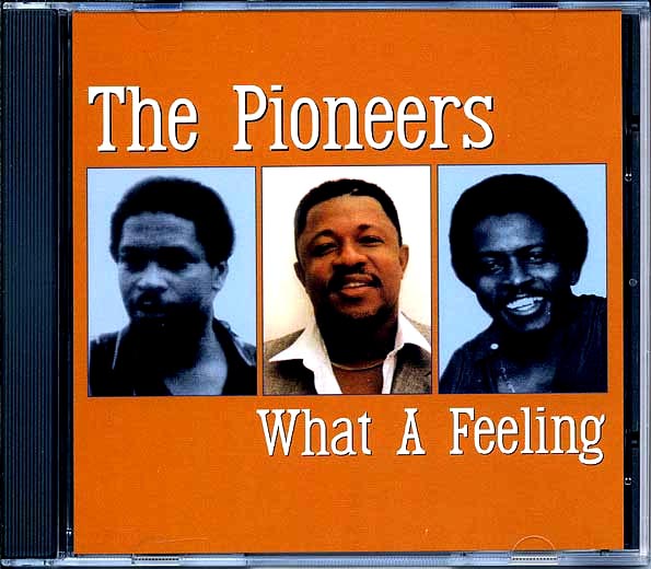 pioneers what a feeling (22 tracks) pioneers what a feeling (22 tracks)