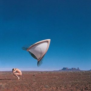 the cranberries bury the hatchet (rsd 2024) (ltd. ed.) (2xlp) (remastered)