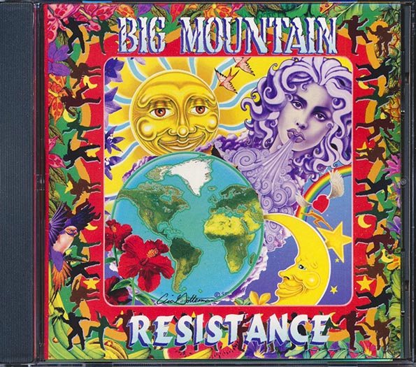 big mountain resistance