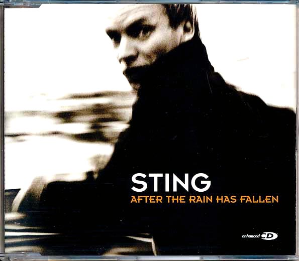 sting after the rain has fallen (4 track ep)