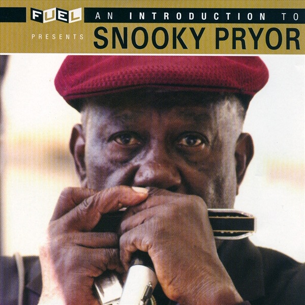 snooky pryor an introduction to snooky pryor (incl. large booklet) (remastered)